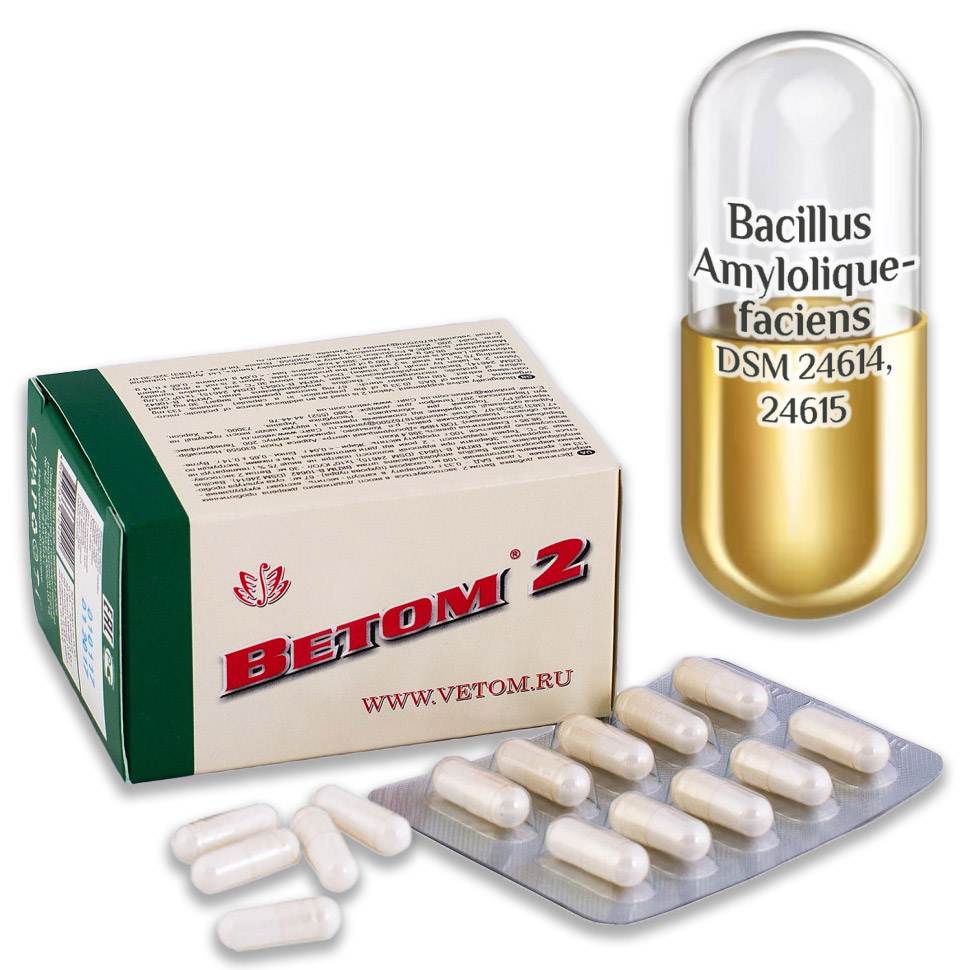 Probiotikum Vetom 2 kapszula 50 szemes (étrend-kiegészitő)