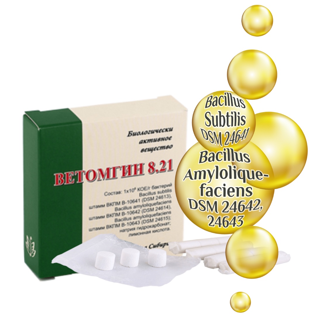 Probiotikum Vetomgin 8.21 pezsgőtabletta 15 db